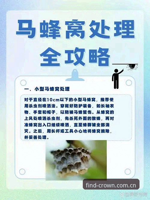 皇冠现金服务体验 皇冠现金服务体验详解:安全入口与使用全指南